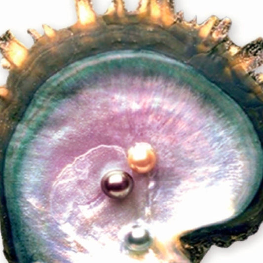 Crème de nuit à la niacinamide Conchanacar Mother of Pearl